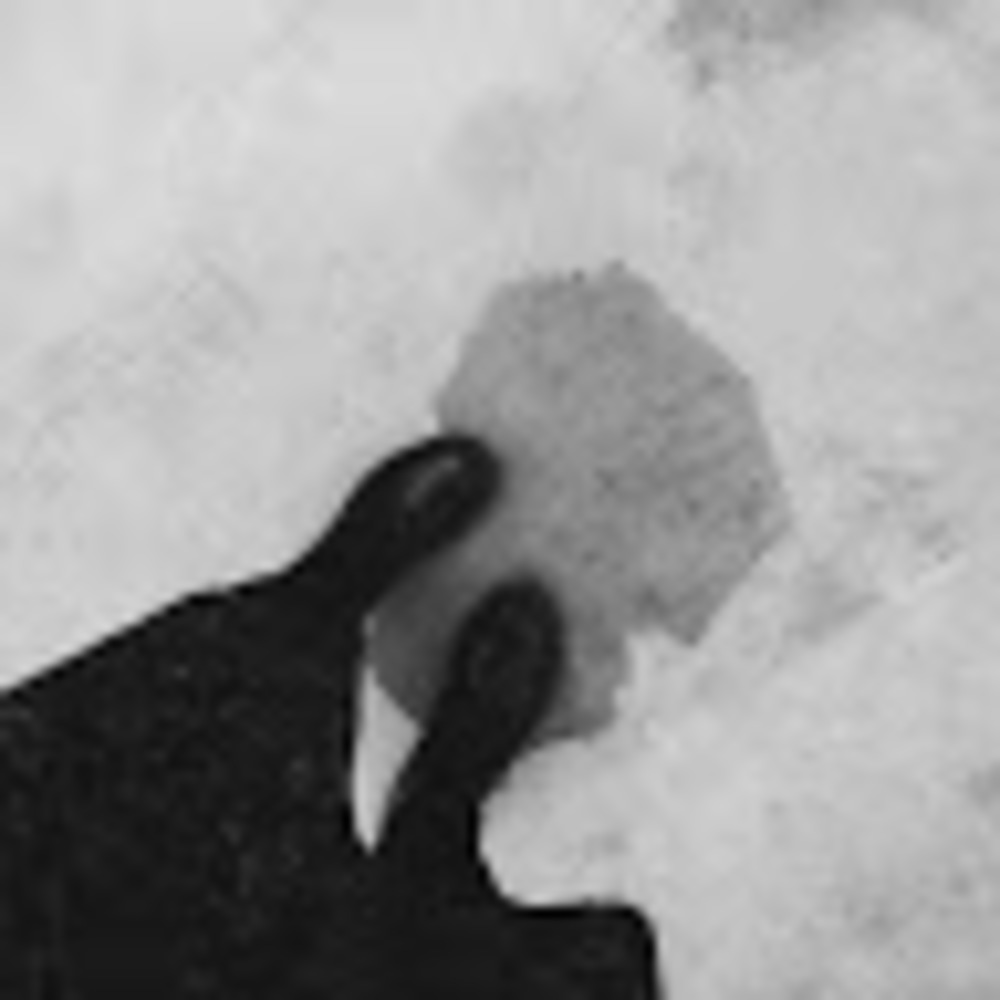 Meet your Posher, Chloe